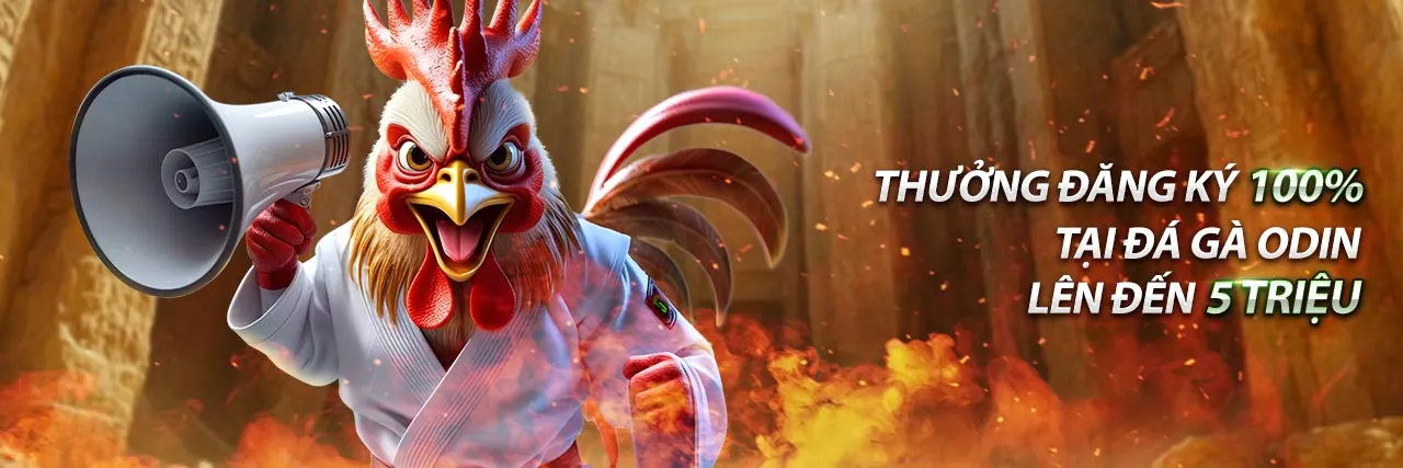 Đá gà trực tuyến EV88