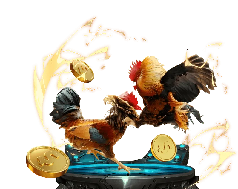 Hướng dẫn các bước đăng ký ev88